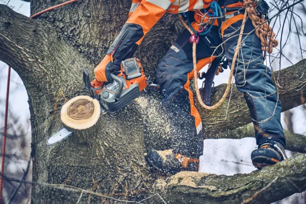 Husqvarna T542i XP - immagine 3