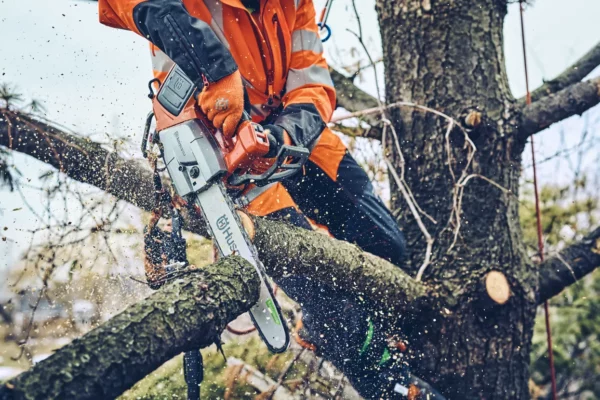 Husqvarna T542i XP - immagine 2