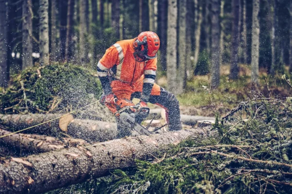 Husqvarna 560 XP Mark II - immagine 4