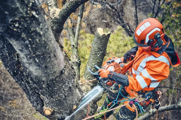 Husqvarna 560 XP Mark II - immagine 2