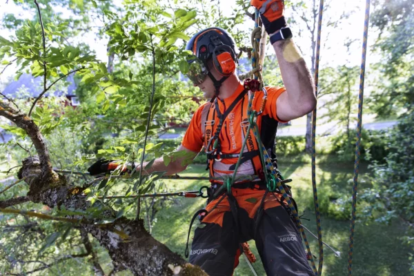 Husqvarna T535i XP - immagine 4